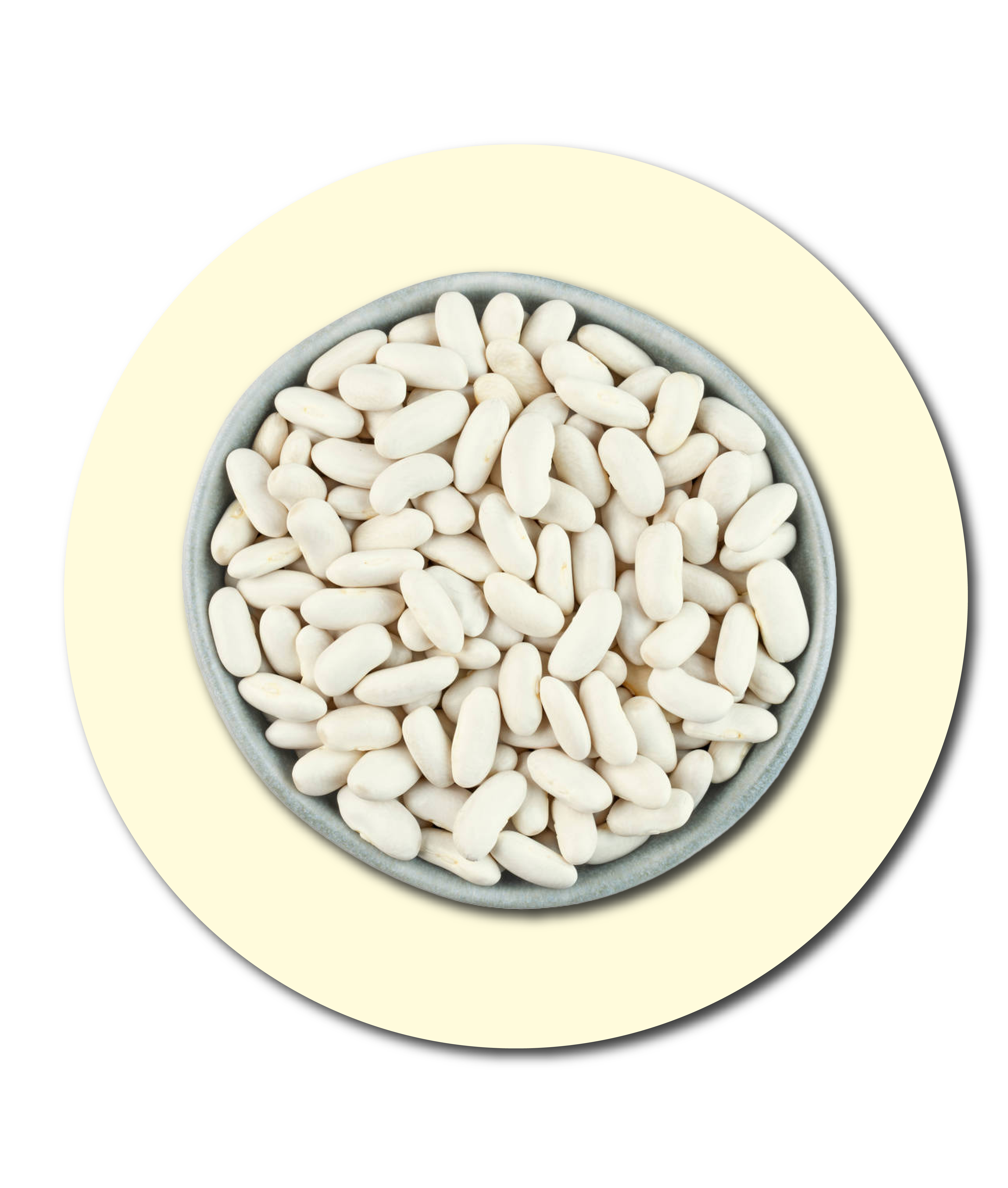 bahan-metaponin-sg-whitebeans