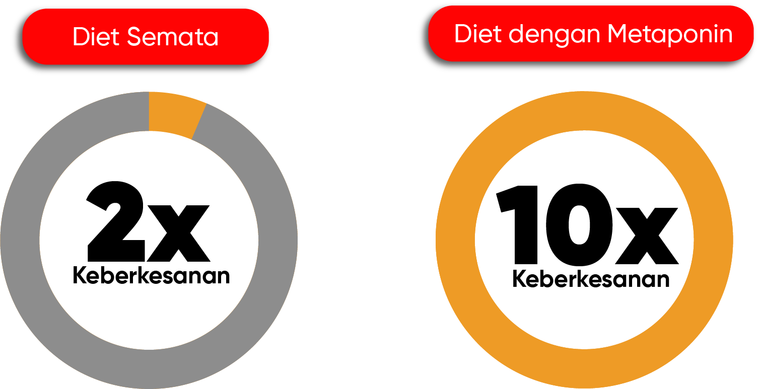 metaponin-singapore-diet-semata