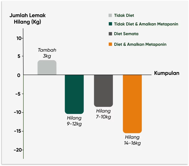 metaponin-jumlah-lemak-hilang