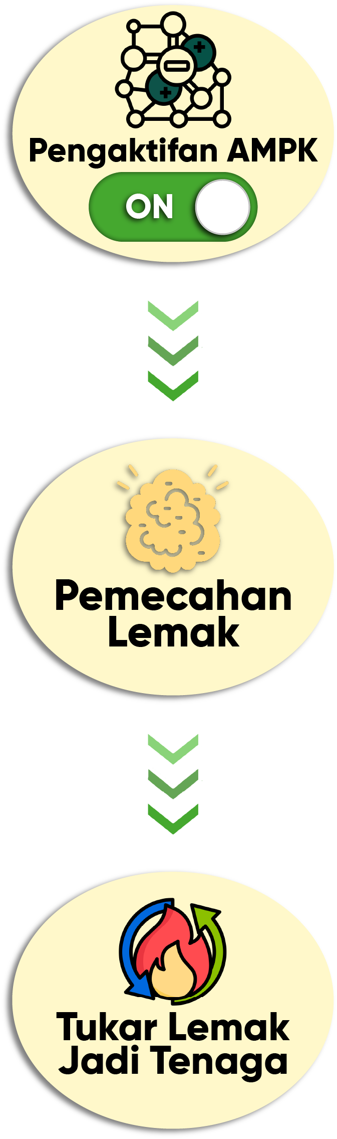 metaponin-pecah-lemak-berkesan