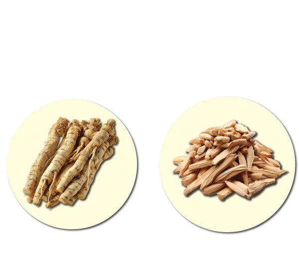 metaponin-bahan-innoslim-metaponin-sg